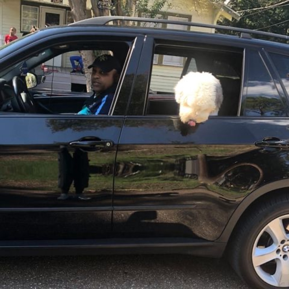 Meet your Posher, Michael